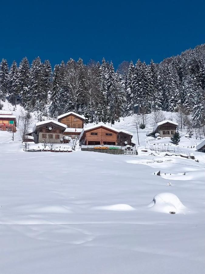 Ayder Yardimci Apart Exteriör bild